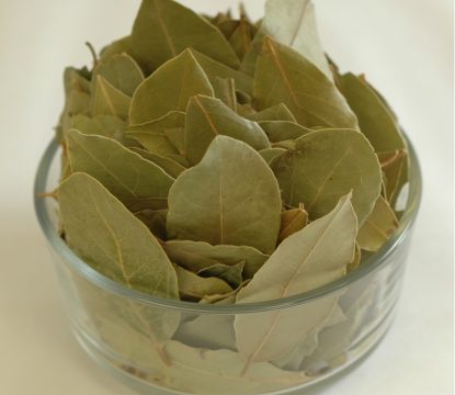 45_9620_Bay Leaf-800x800