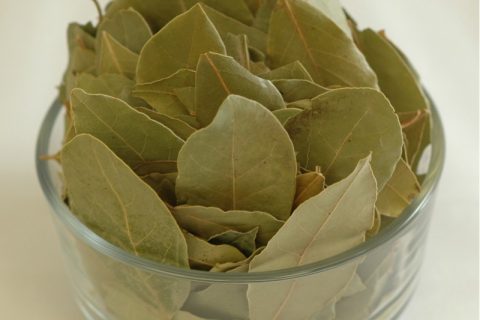 45_9620_Bay Leaf-800x800