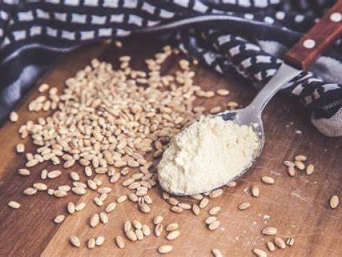Barley