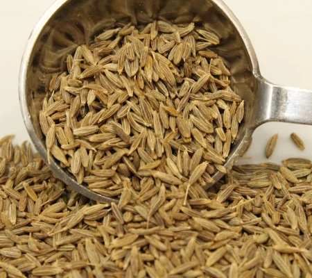 Cumin_Seed