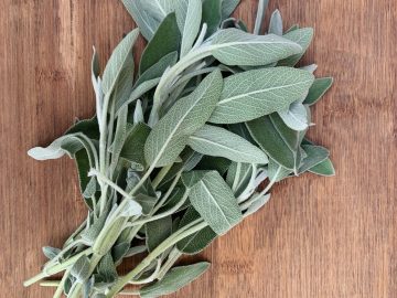 Herbs-Sage-scaled