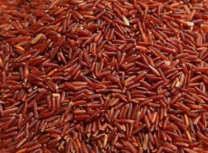 Red rice