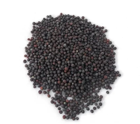 black-mustard-seeds-500x500