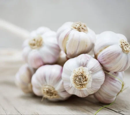 fresh-organic-garlic-1000x1000