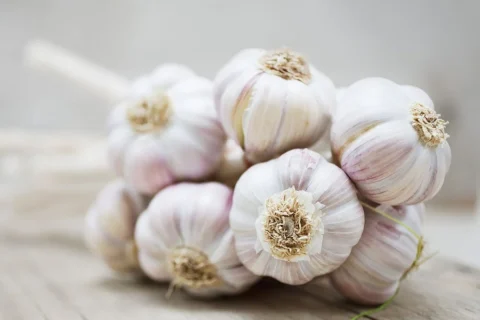 fresh-organic-garlic-1000x1000