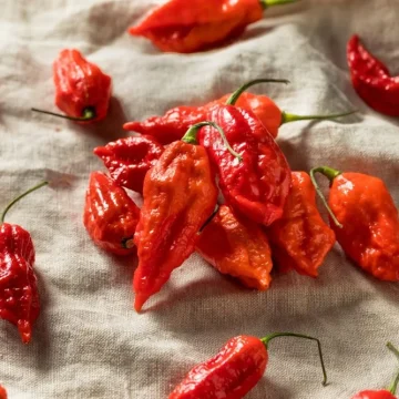 ghost-pepper-red-chilli-1000x1000