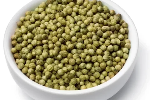 green-coriander-seed-500x500