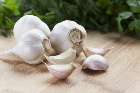 istock-531644839