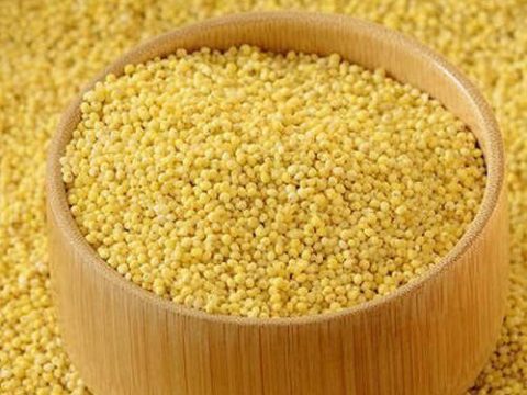 little millet