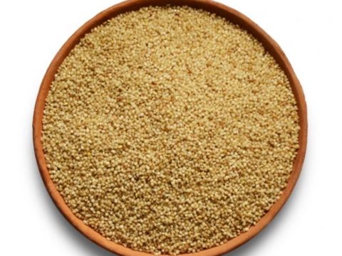 little millet2
