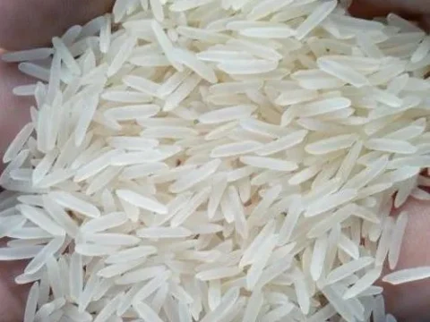 rice